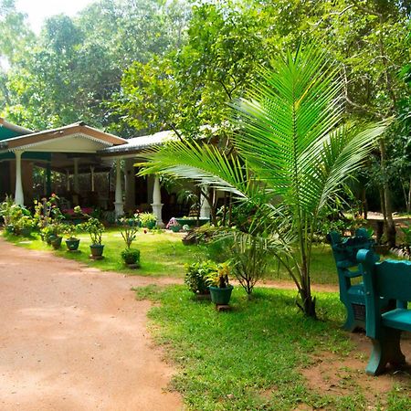 Sigiri Lodge Sigiriya Exteriér fotografie